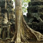 cambodia-temples