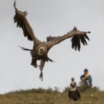 tibet 1