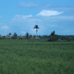 img_2725_29048194142_o