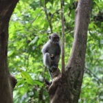 img_2743_29048210352_o